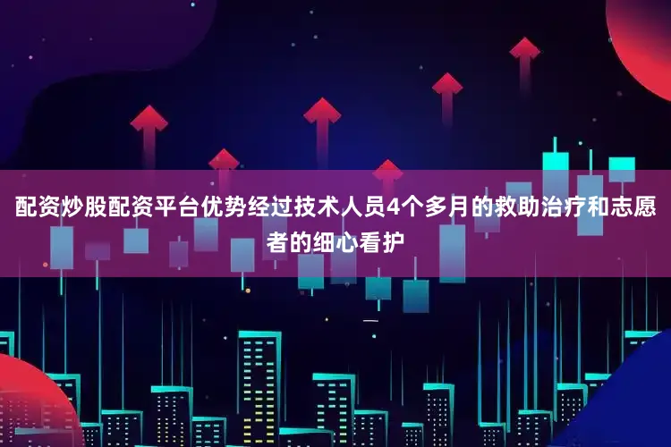 配资炒股配资平台优势经过技术人员4个多月的救助治疗和志愿者的细心看护