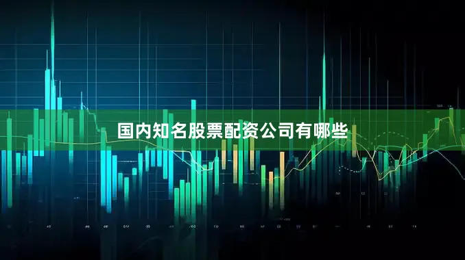 国内知名股票配资公司有哪些