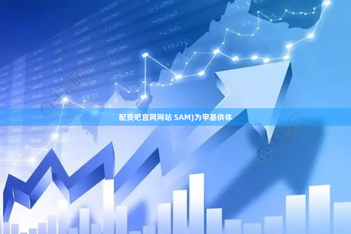 配资吧官网网站 SAM)为甲基供体